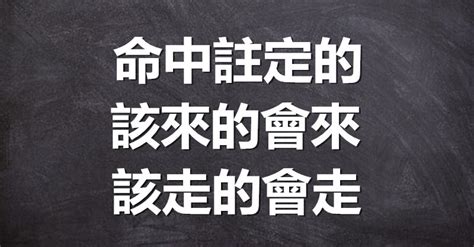 會走的人留不住|該來的會來，該走的留不住，與其糾纏，何不放過！ –